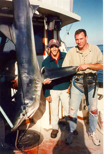 Shark fishing in New Hampshire