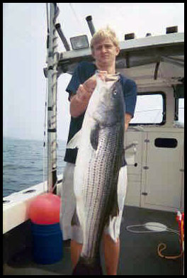 Striped Bass Fishing Piscataqua River